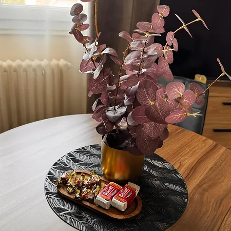 2 Chambres,1 Salon Avec Cuisine Appartement