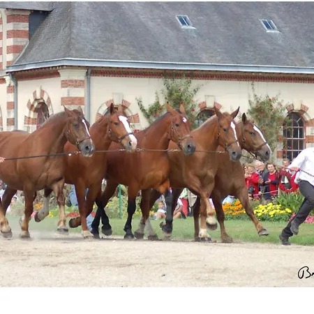 Appartement 2 Chambres,1 Salon Avec Cuisine Saint-Lô