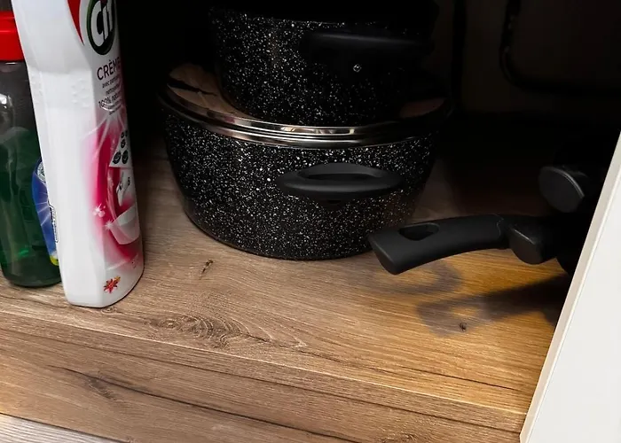 2 Chambres,1 Salon Avec Cuisine شقة سانت لو