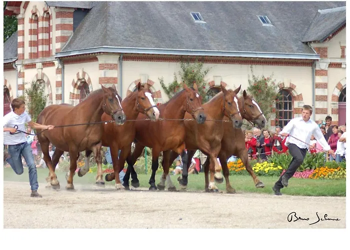شقة 2 Chambres,1 Salon Avec Cuisine سانت لو